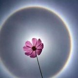 正念