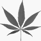 幻想