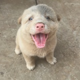 温州李钟硕
