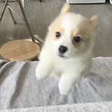 明天就退休