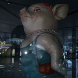 曹某某