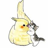 张澜蘭
