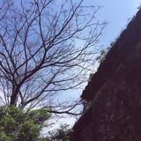 念去去