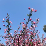 幸福ing