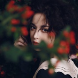 影子的影子