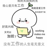 宇