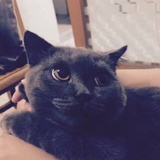 哈哈