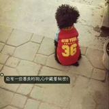杨三