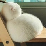 云卷云舒