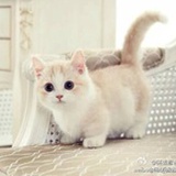 我是多倒霉啊！