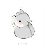 脱缰的小马