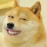 猛