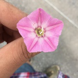 三生愚智
