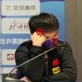 樊振东（黑化中