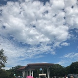 沉默不语