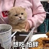 深海鱼