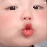 小巧莓ovo