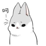 红豆生南国