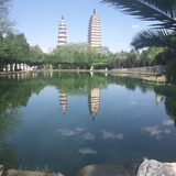 杜丽丽