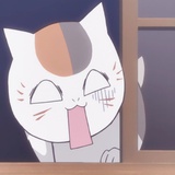 芝麻开花