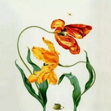 yrbeing