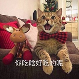 喂哎呀哟巴巴嘿