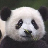 小咖