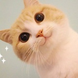 CapG