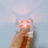 楼楼