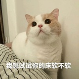 唐忧伤