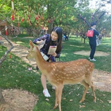 这是个明朗少女