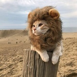 -风停