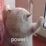 墨倾__