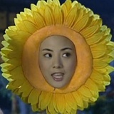 太极生香芋