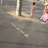 鲮鱼