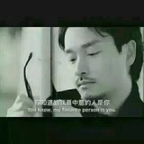 淋漓