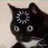 海を感じるはず