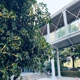 小明从小爱喝茶