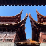 小t