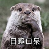 给来福铲屎的