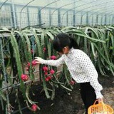 麻辣小公举