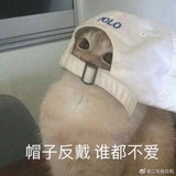 热心网友张老师