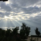 菠萝油配泡馍