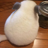 健     J |