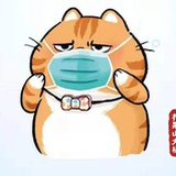 大熊Winnie
