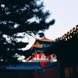 若小若