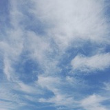 青春·右手敬礼