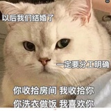 ●_●
