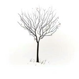 一沐二林