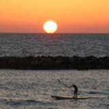 子非鱼不会游泳